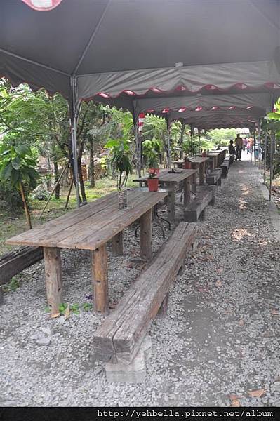 20170228_144 (Large).JPG