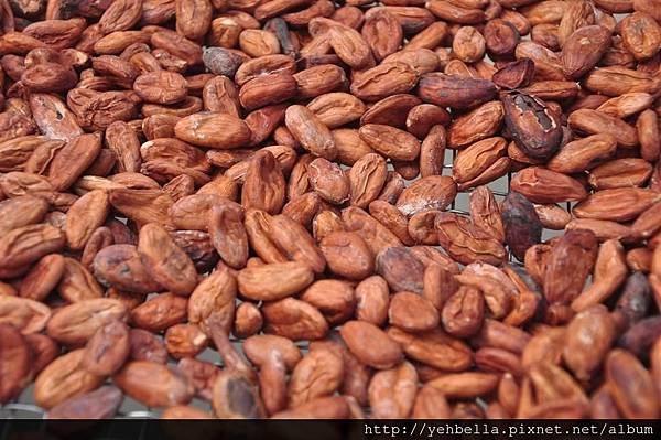 20170228_149 (Large).JPG