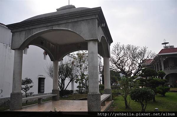 20170228_243 (Large).JPG