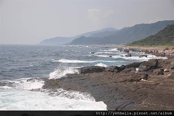 20170304-05_373 (Large).JPG