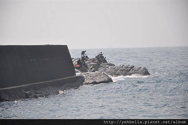 20170304-05_387 (Large).JPG