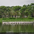 DSC_0132.JPG