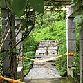 IMG20170730104127.jpg