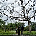 IMG20170730104255.jpg