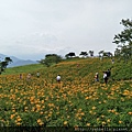 IMG20180812143110.jpg