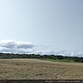 IMG20200321145710.jpg