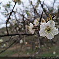 IMG20210122102345.jpg