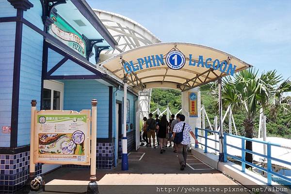 花蓮遠雄海洋公園-讓人流連往返的海獅小學堂、海豚傳說-跳浪奇