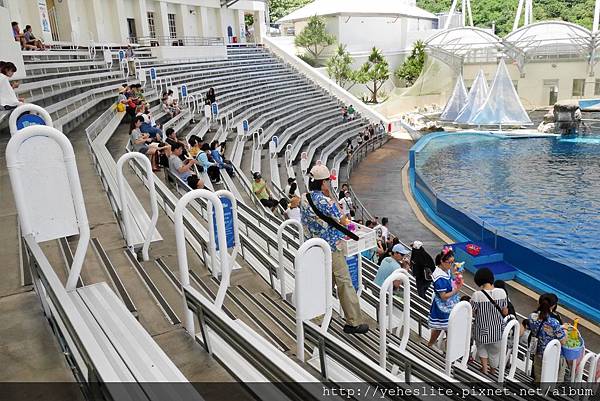 花蓮遠雄海洋公園-讓人流連往返的海獅小學堂、海豚傳說-跳浪奇