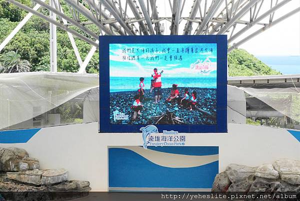 花蓮遠雄海洋公園-讓人流連往返的海獅小學堂、海豚傳說-跳浪奇