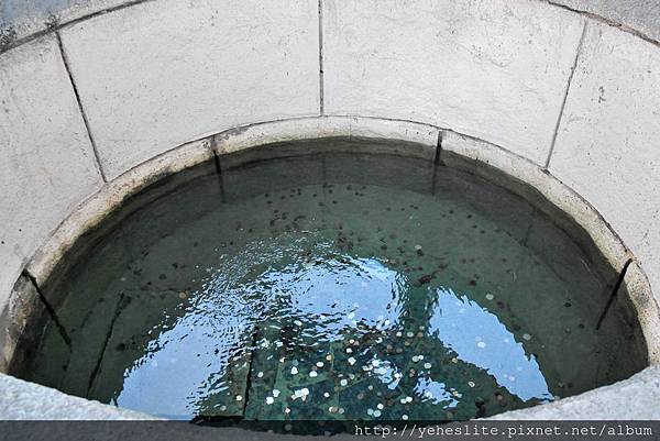 花蓮遠雄海洋公園-讓人流連往返的海獅小學堂、海豚傳說-跳浪奇