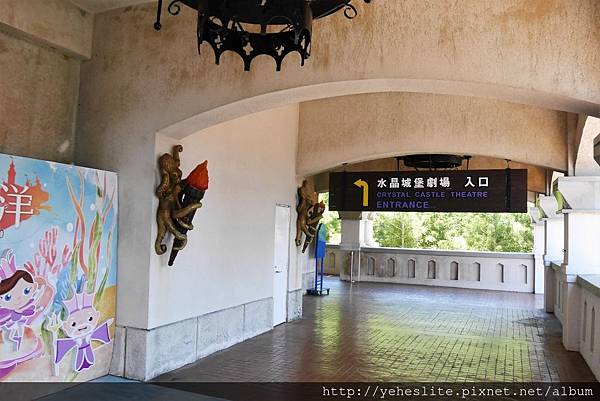 花蓮遠雄海洋公園-讓人流連往返的海獅小學堂、海豚傳說-跳浪奇