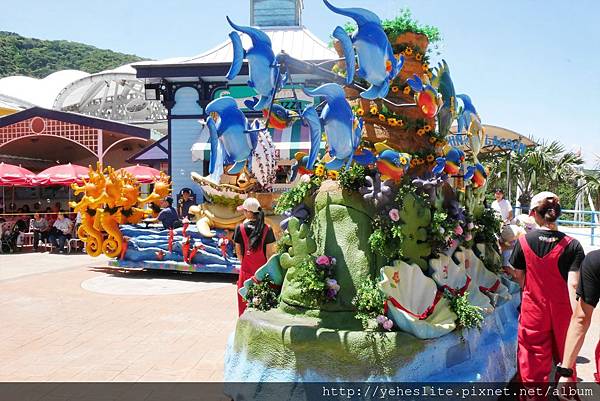 花蓮遠雄海洋公園-讓人流連往返的海獅小學堂、海豚傳說-跳浪奇