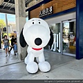 IMG_3031.jpeg