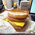 IMG_4282 (1).jpeg