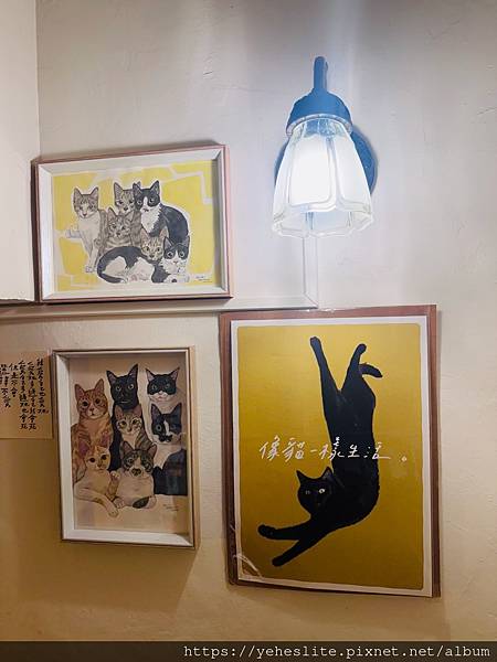 「高雄前鎮」貓這邊餐飲俱樂部，來到這裡不是為了吃飯，而是來陪