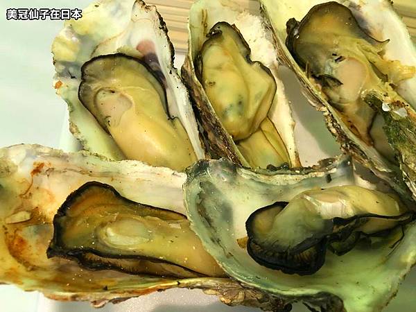 【日本東北 】松島海岸銅板美食攻略(烤牡蠣 自助烤仙貝)
