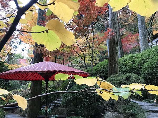 日本九州 佐賀追楓大興善寺交通攻略搭甘木鐵道也能通 美冠仙子進進出出 痞客邦