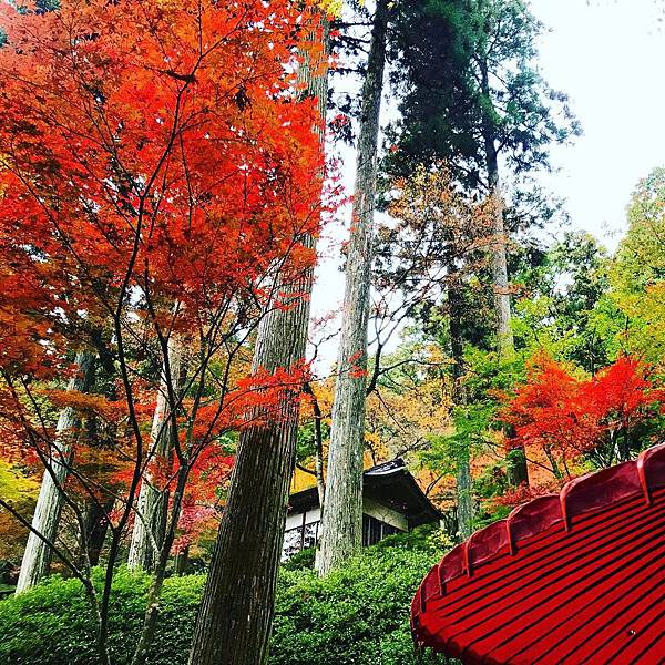 日本九州 佐賀追楓大興善寺交通攻略搭甘木鐵道也能通 美冠仙子進進出出 痞客邦