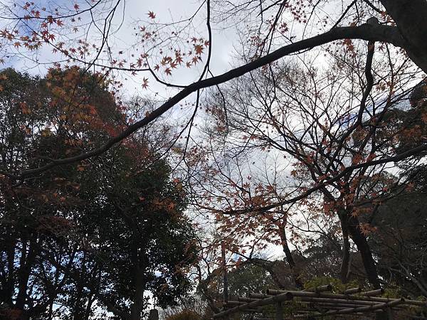 日本關西 京阪電車好去處京都男山纜車展望台石清水八幡宮 欣傳媒