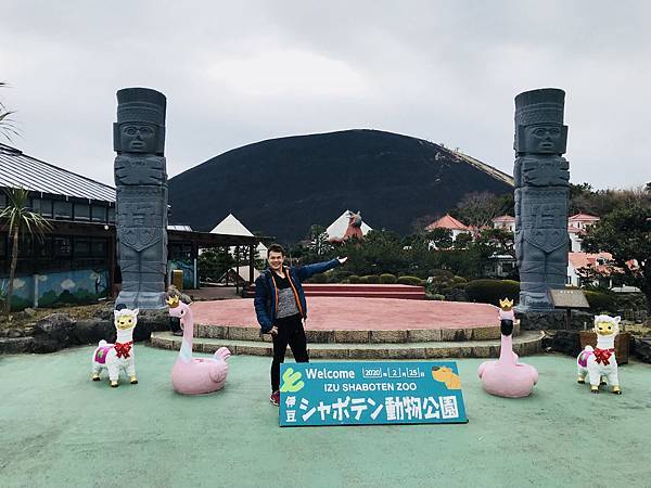 [遊記] 靜岡伊豆仙人掌動物公園 水豚君泡湯秀