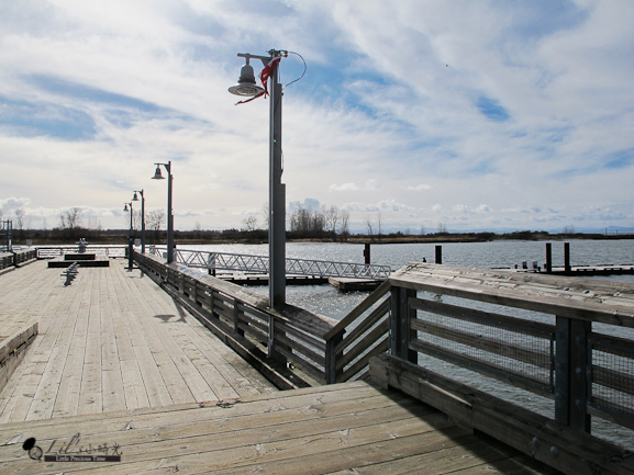 steveston1.jpg