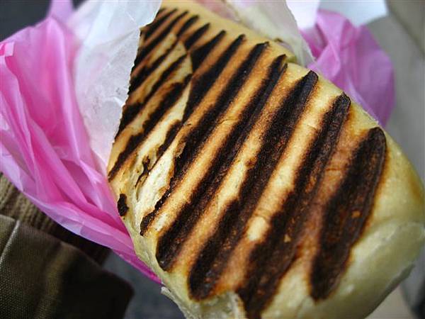 我肖想以久的panini