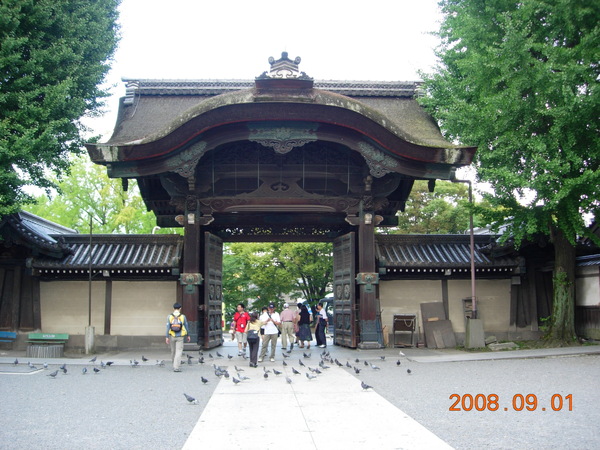 東本願寺--門口那些鴿子都沒在怕人的