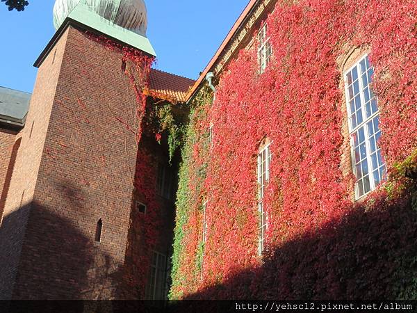 image811.JPG image811.JPG