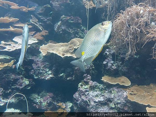 國立海洋生物博物館