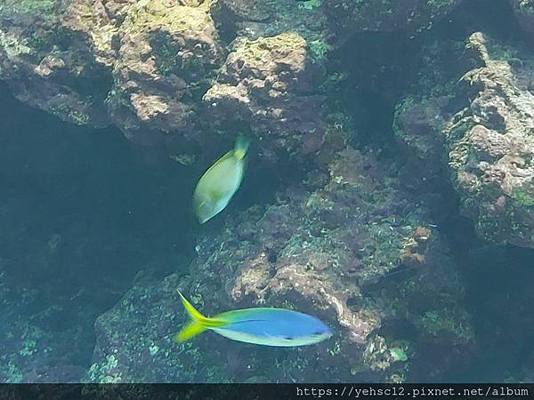 國立海洋生物博物館