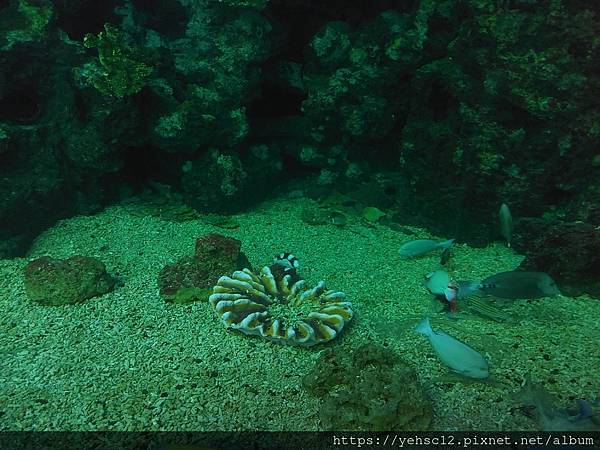 國立海洋生物博物館