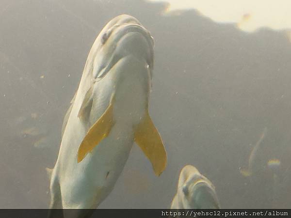 國立海洋生物博物館