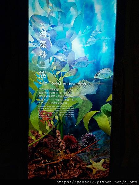 國立海洋生物博物館