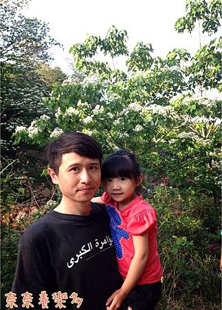 IMG_9987 IMG_9987