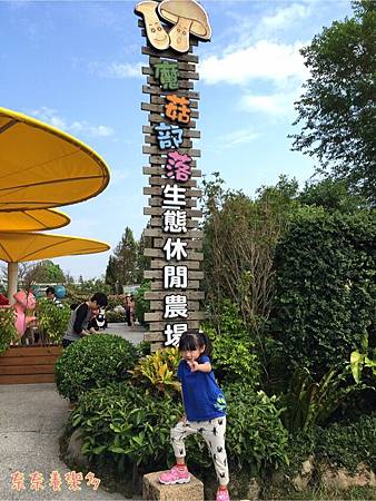 IMG_2643 IMG_2643
