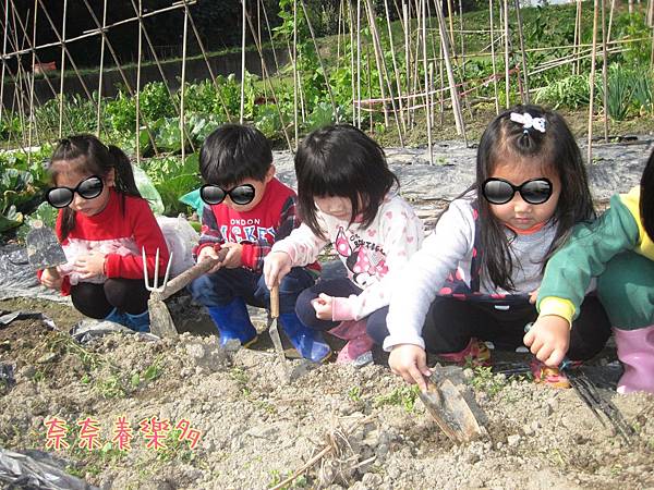 IMG_6441 IMG_6441