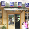 油桐花-DSCN2754.JPG