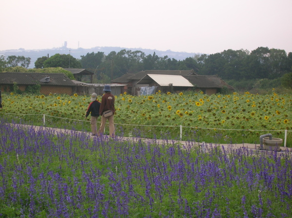 DSCN3100.JPG DSCN3100.JPG