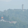 IMG_1243.JPG