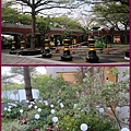 1113a21.jpg
