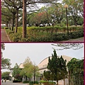 1113a20.jpg