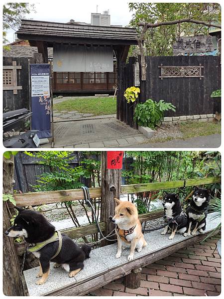 ２０２４環島（十一）