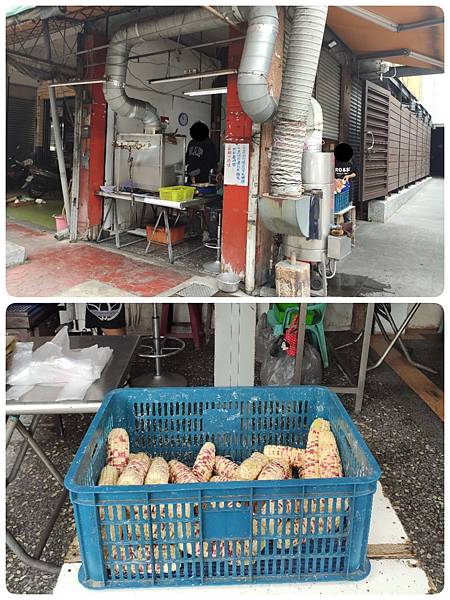 ２０２４環島（十二）