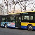 加長型公車.JPG