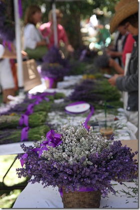 Lavender Festival 164