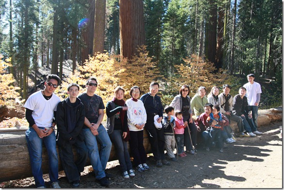Sequoia 215