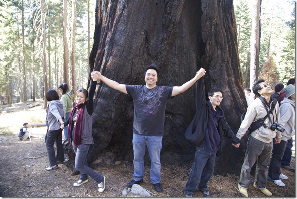 Sequoia 144