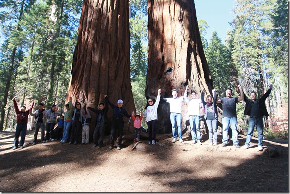 Sequoia 268
