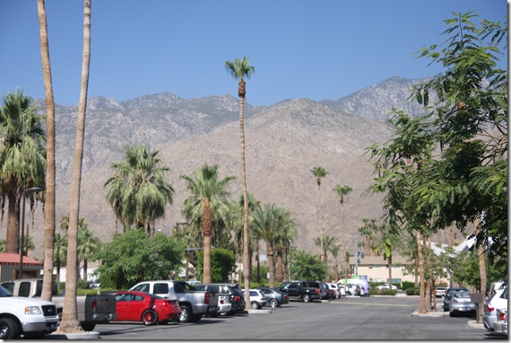 PalmSpring 128